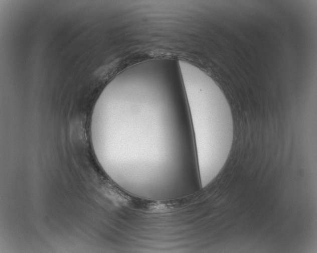 X0000081600616200701151055