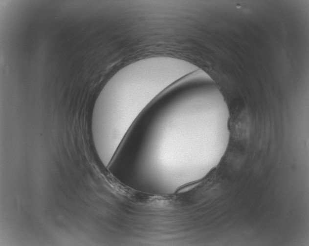 X0000081600620200701151055