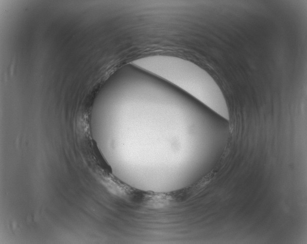 X0000081600621200701151055