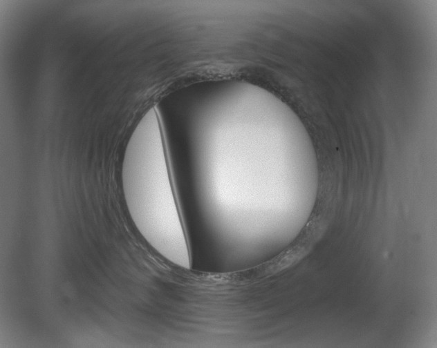X0000081600624200701151055