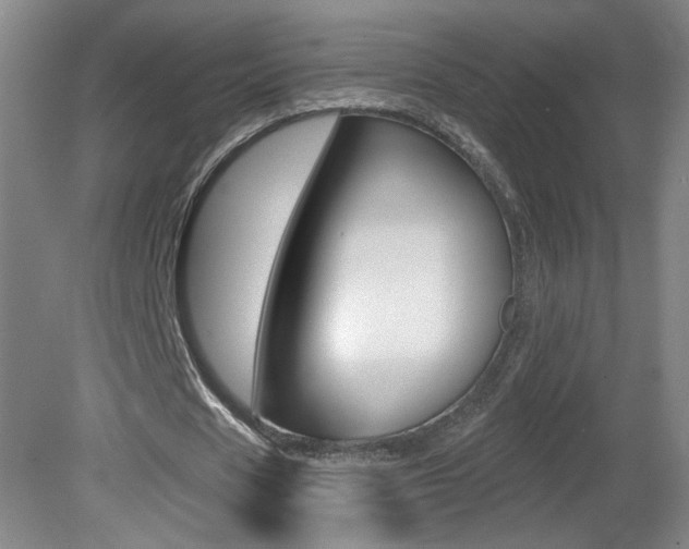 X0000081600625200701151054