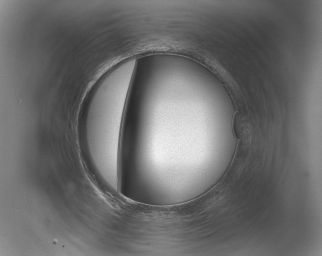 X0000081600626200701151054