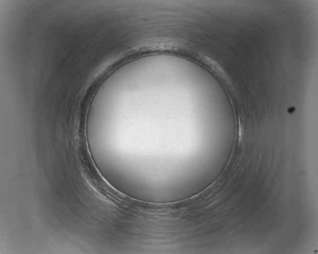 X0000081600627200701151054