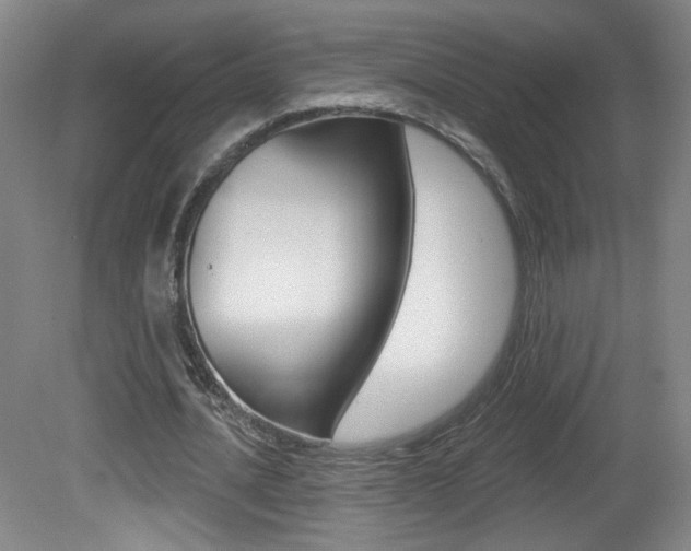 X0000081600628200701151054