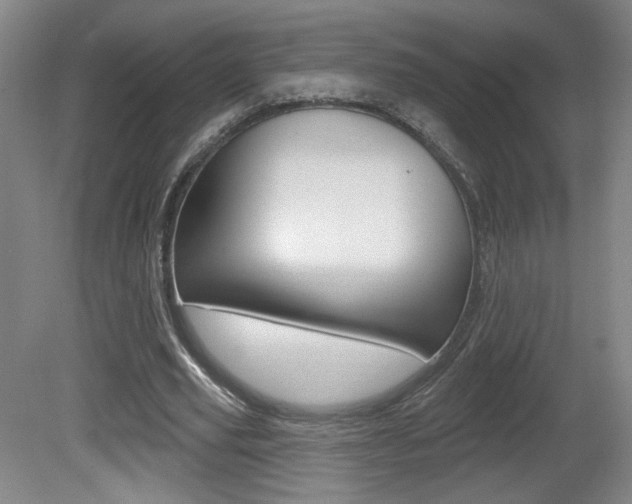 X0000081600629200701151054