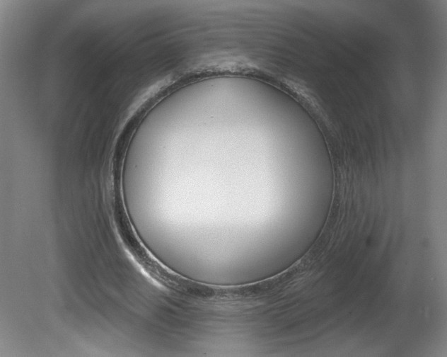 X0000081600630200701151054