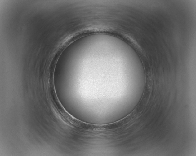 X0000081600631200701151054