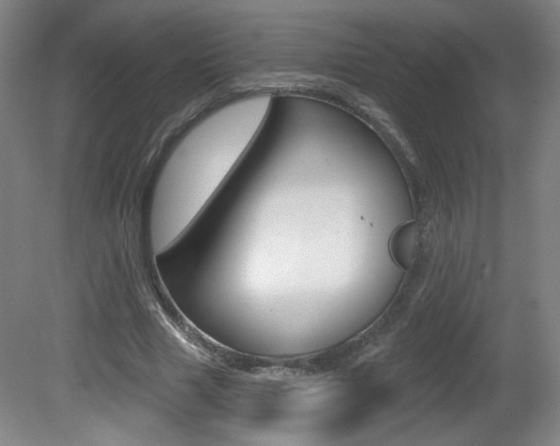 X0000081600633200701151055