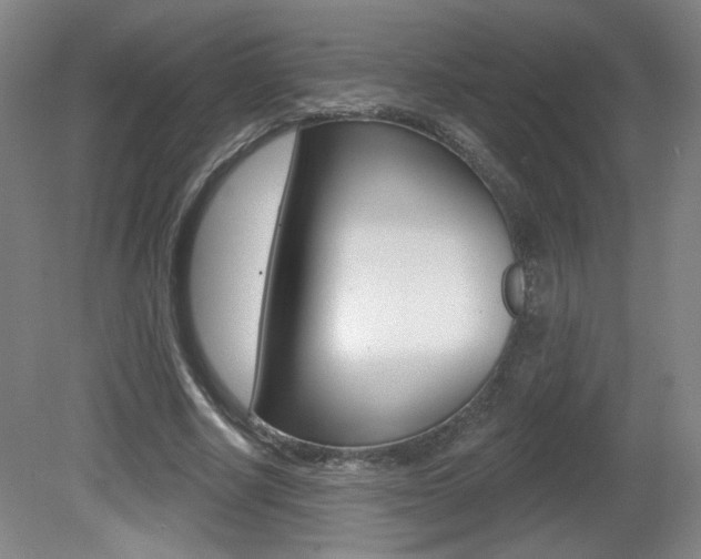X0000081600634200701151055