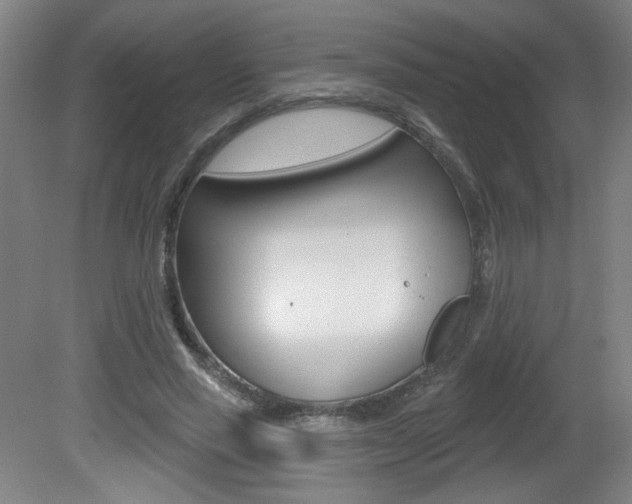 X0000081600637200701151055