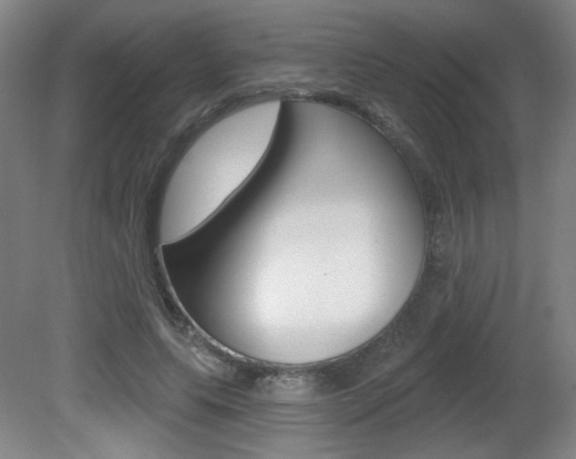 X0000081600639200701151055