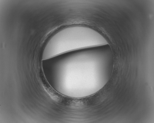 X0000081600640200701151055