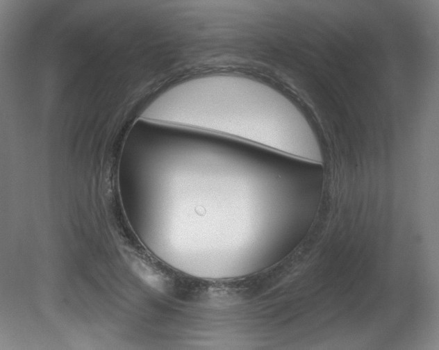 X0000081600641200701151055