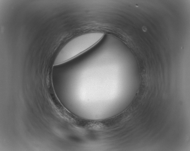 X0000081600642200701151055