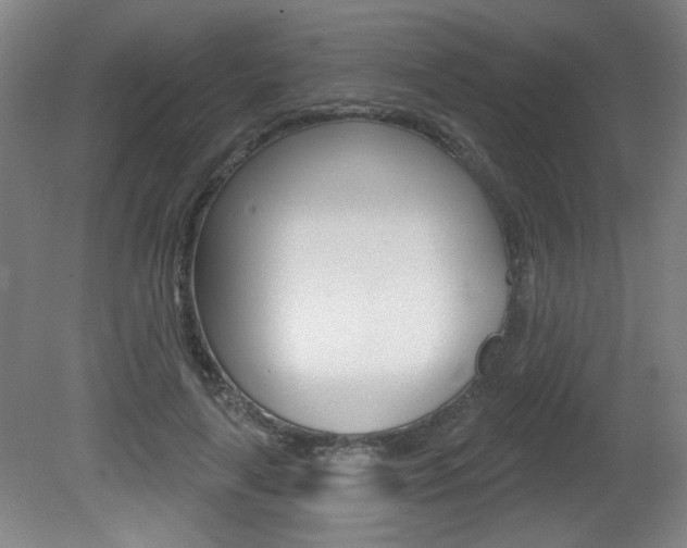 X0000081600643200701151055