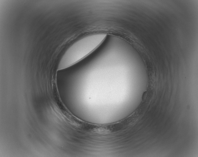 X0000081600644200701151055