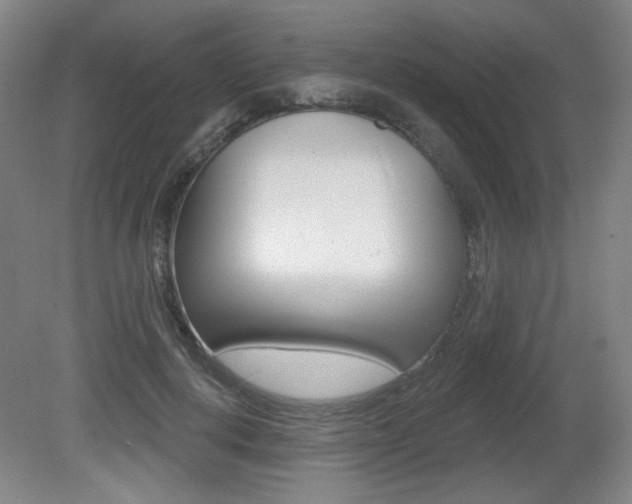 X0000081600648200701151055