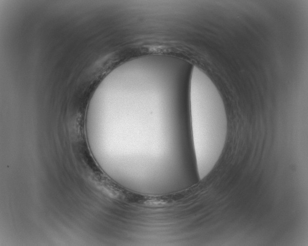 X0000081600650200701151055