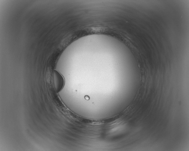 X0000081600651200701151055