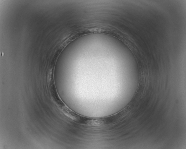 X0000081600652200701151055