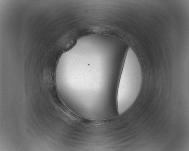 X0000081600653200701151055