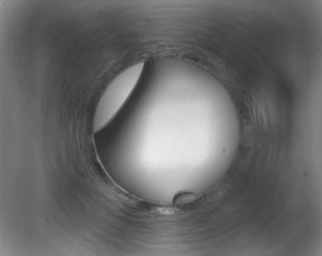 X0000081600654200701151055