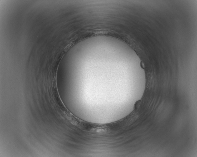 X0000081600655200701151055
