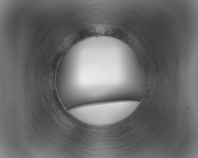 X0000081600656200701151055