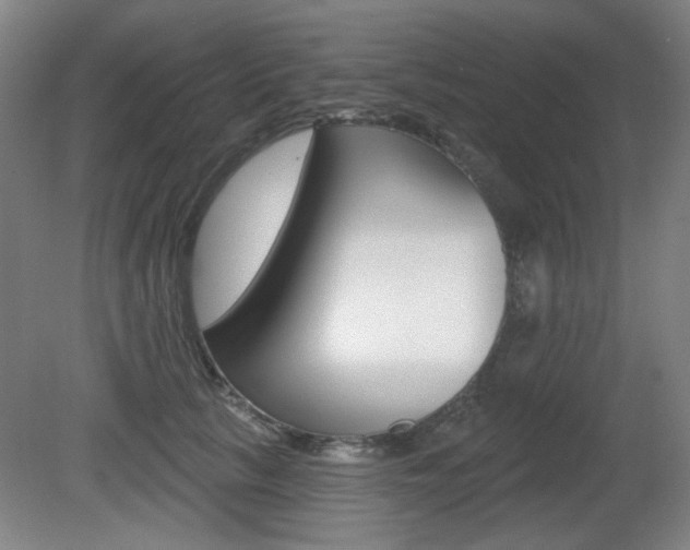 X0000081600657200701151055
