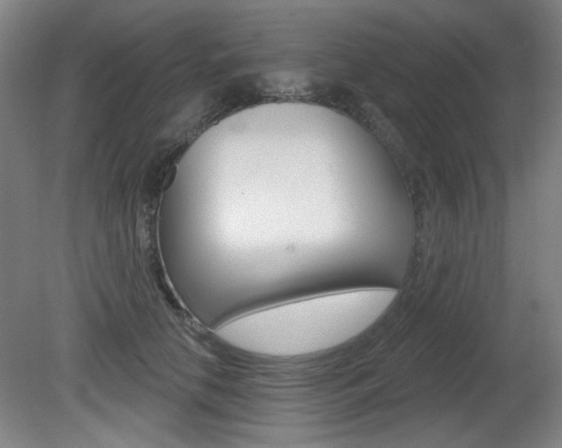 X0000081600658200701151055