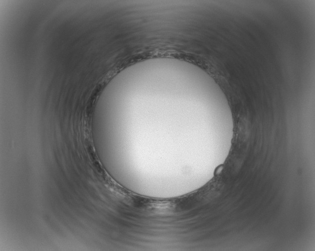X0000081600659200701151055