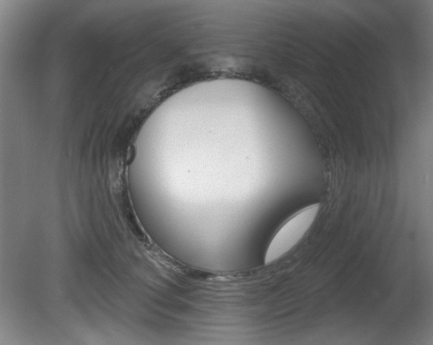 X0000081600660200701151055