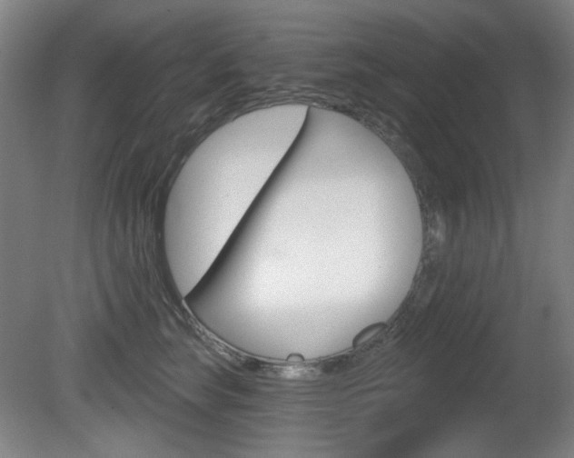 X0000081600663200701151055