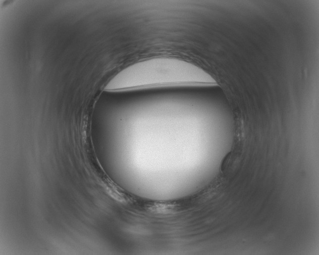 X0000081600664200701151055