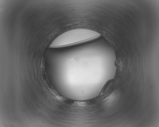 X0000081600665200701151055