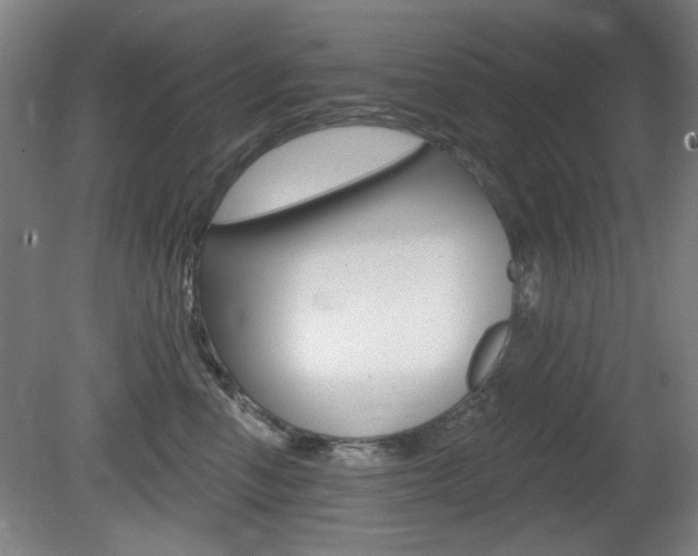 X0000081600666200701151055