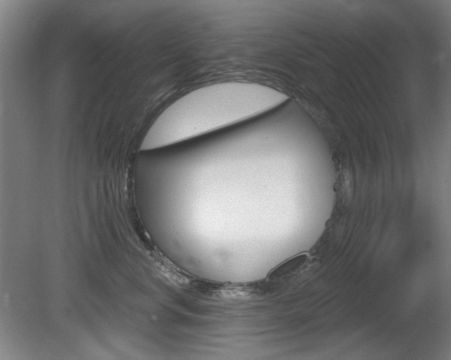 X0000081600668200701151055