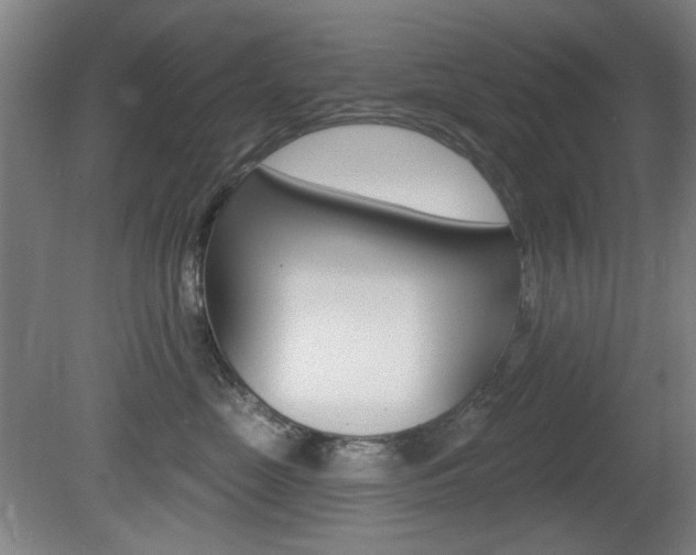 X0000081600669200701151055