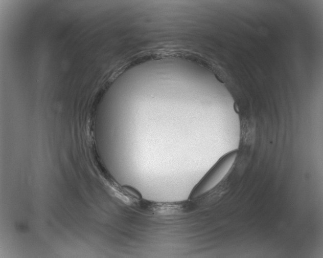 X0000081600670200701151055