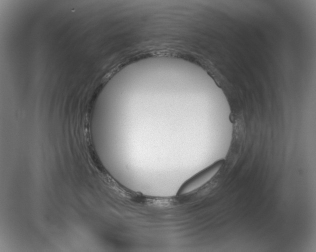 X0000081600671200701151055