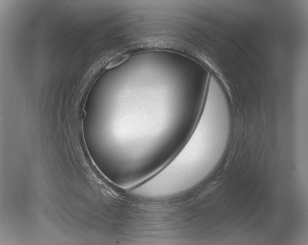 X0000081600673200701151054