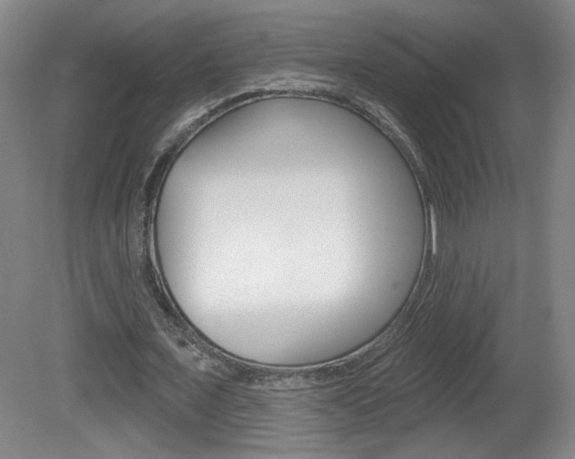 X0000081600675200701151054