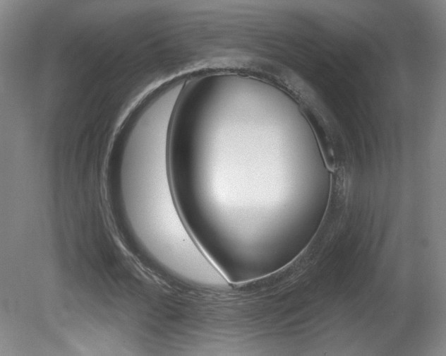 X0000081600676200701151054