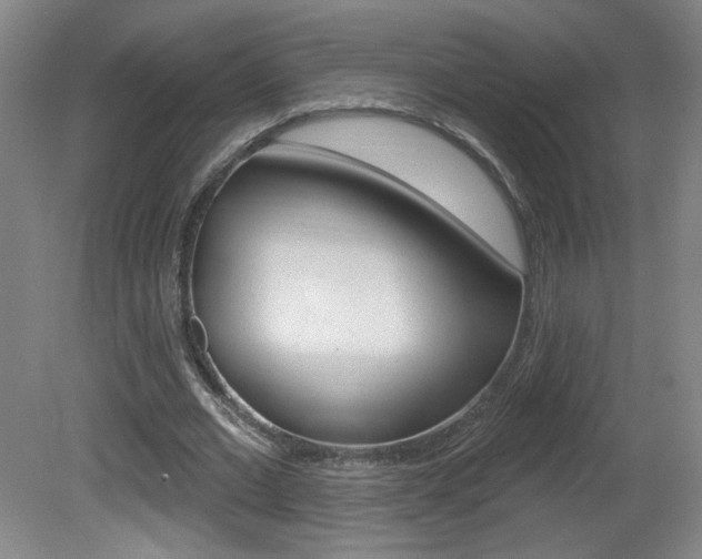 X0000081600677200701151054