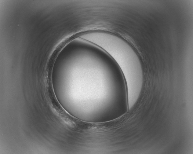 X0000081600680200701151054