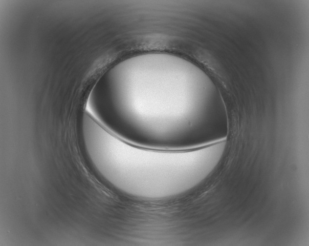 X0000081600681200701151054