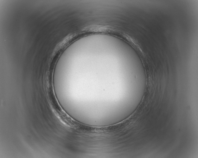 X0000081600682200701151054