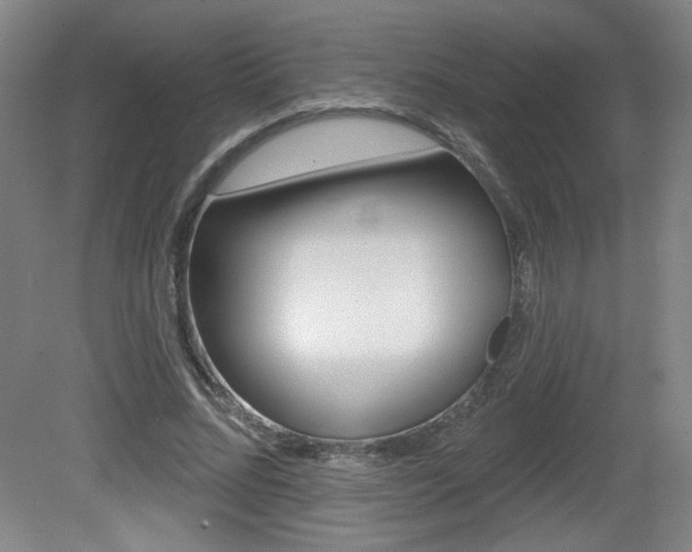 X0000081600684200701151054