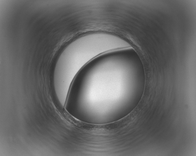 X0000081600685200701151054