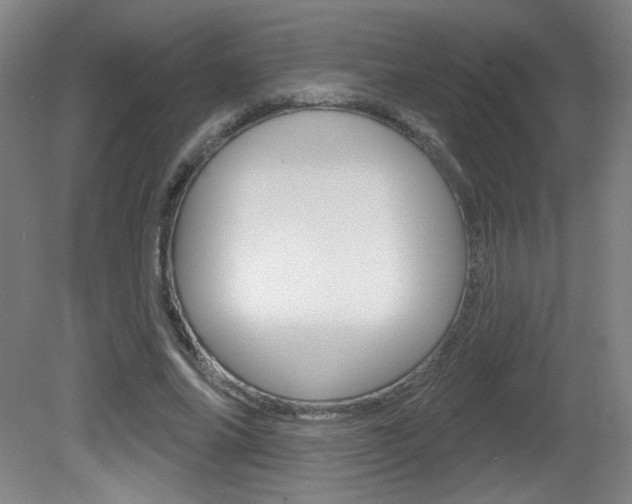 X0000081600686200701151054
